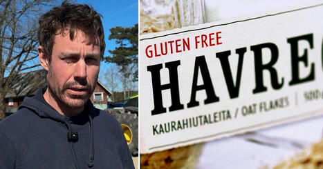 Glutenfri havre odlas i Sverige &ndash; men m&aring;ste skickas utomlands f&ouml;r att bli f&auml;rdig | 1Uutiset - Lukemisen t&auml;hden | Scoop.it