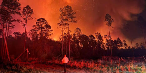 &lsquo;It&rsquo;s a beast, it&rsquo;s a monster&rsquo;: Wildfire explodes to more than 16,000 acres in South Georgia, forcing evacuations - WALB.com | Operation Deimos | Scoop.it