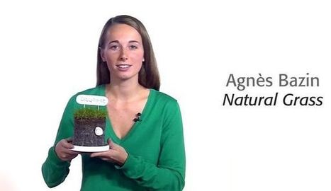Natural Grass pour un toit végétal | Build Green, pour un habitat écologique | Scoop.it
