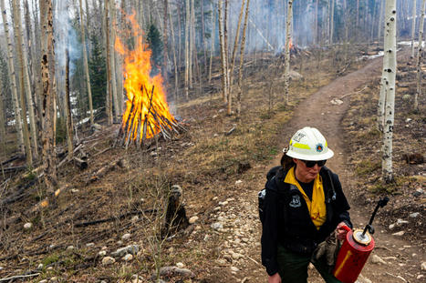 Colorado knows the steps to take that could reduce the destruction of wildfires. It just hasn’t taken them - CPR.org | Operation Deimos | Scoop.it
