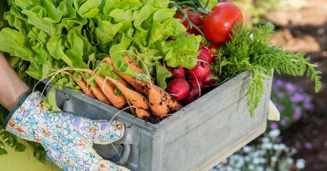 Alimentation: l'Igas appelle à soutenir le bio et agir sur la composition des aliments | CORPS GRAS | Scoop.it