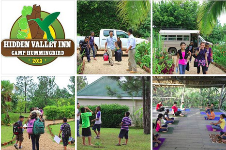 HVI's Hummingbird Summer Camp | Cayo Scoop!  The Ecology of Cayo Culture | Scoop.it