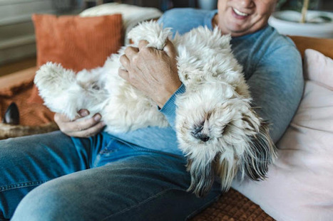 Living With Pets May Slow Decline of Cognitive Skills In Older Adults – | Online Marketing Tools | Scoop.it