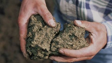 Va-t-on vers une agriculture data-intensive ? | Elevage et numérique | Scoop.it