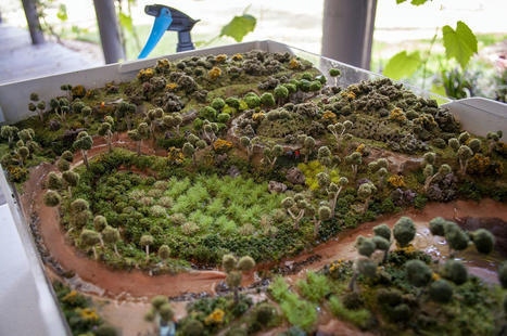 Making model landscapes — | Stage 5 Environmental Change: Riverine Environments | Scoop.it