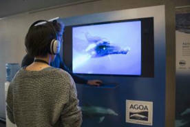 L'analyse acoustique, une technique innovante pour l'&eacute;tude de la biodiversit&eacute; | Biodiversit&eacute; | Scoop.it