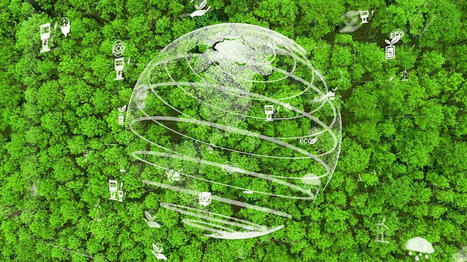 IT leaders recognise sustainability as a key objective in business | Sustainable Procurement & CSR News - ICT Industry | Scoop.it