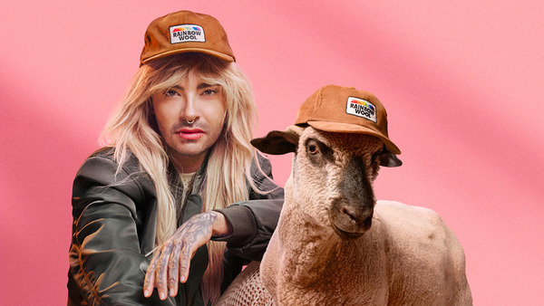 Rainbow Wool : la première marque de textile à partir de laine de moutons homosexuels | Innovating to what's next... | Scoop.it