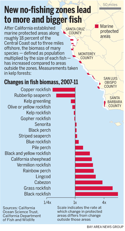 California's new no-fishing zones appear to be working, scientists say | Coastal Restoration | Scoop.it