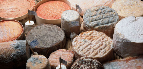 Ceta : 4 exemples concrets de ce qui va changer | GREENEYES | Scoop.it