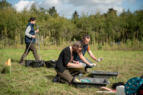 Préserver la qualité des sols : vers un référentiel d’indicateurs - Résultats d’une étude collective - INRAE | ECOLOGIE - ENVIRONNEMENT | Scoop.it