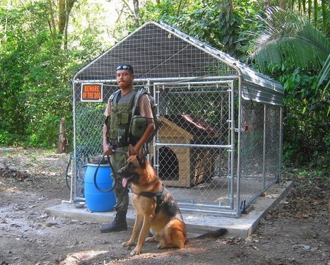 Belize K-9 Team Protects Xunantunich | Cayo Scoop!  The Ecology of Cayo Culture | Scoop.it