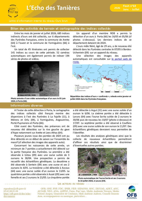 L'&Eacute;cho des Tani&egrave;res - Lettre d'information du r&eacute;seau Ours brun -&nbsp;Janvier-juillet 2026 | Biodiversit&eacute; | Scoop.it