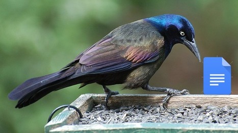 Grackle Your Google Docs - free Add on to make your docs more accessible via Diana Benner | iGeneration - Humane Use of Technology in an AI world (Pedagogy & Digital Innovation) | Scoop.it
