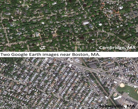 Urban Trees Reveal Income Inequality | URBANmedias | Scoop.it