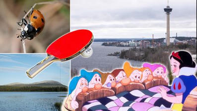Saatko kaikki 14 oikein? Testaa tietosi helpossa yleistietovisassa | A1Uutiset | Scoop.it