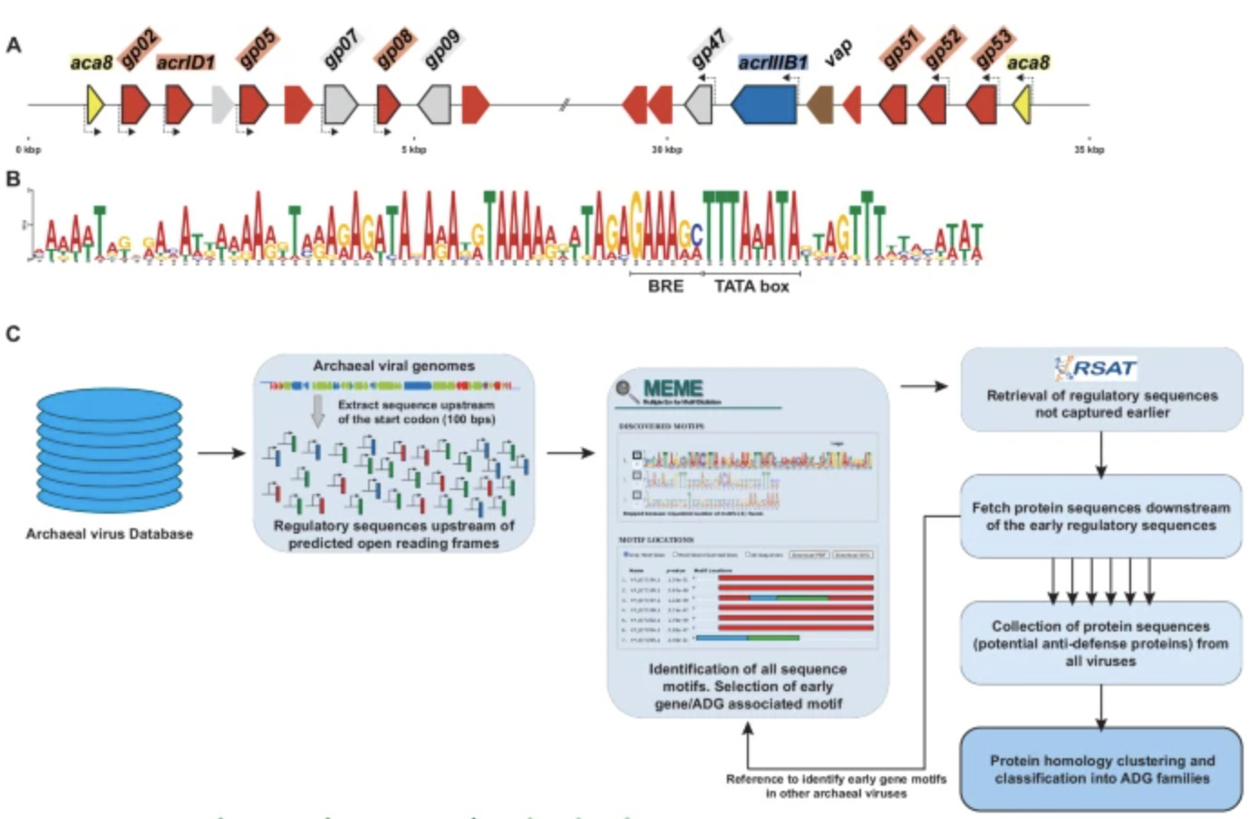 Regulatory sequence-based discovery of anti-def...