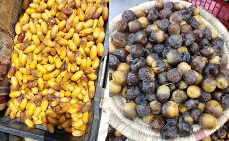 ALGERIE : Saison du m’naguer dans les oasis : Plus qu’un fruit précoce, un marqueur culturel et un souffle économique | CIHEAM Press Review | Scoop.it