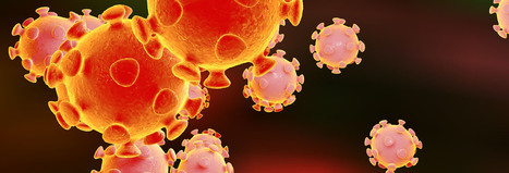 Novel Coronavirus Information Center | Wuhan, Hubei | Scoop.it