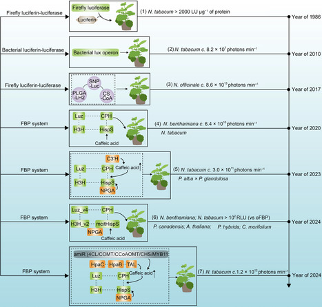 Engineering autonomously luminescent plants usi...