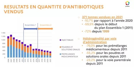 L’exposition des animaux d’élevage aux antibiotiques continue de diminuer | Lait de Normandie... et d'ailleurs | Scoop.it
