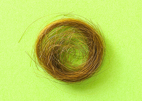 The FBI Faked an Entire Field of Forensic Science | Peer2Politics | Scoop.it