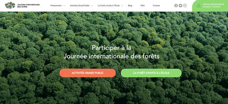 Journée internationale des forêts, 21 mars 2024 | Forêt, Bois, Milieux naturels : sciences et techniques | Scoop.it
