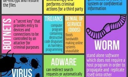 Most People Are Visual Learners, Whether They Know It Or Not [Infographic] | Daily Infographic | Professional Learning Design | Scoop.it