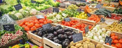 Mediterranean Diet Linked to Lower Risk of Bladder Cancer | OLIVE NEWS | Scoop.it