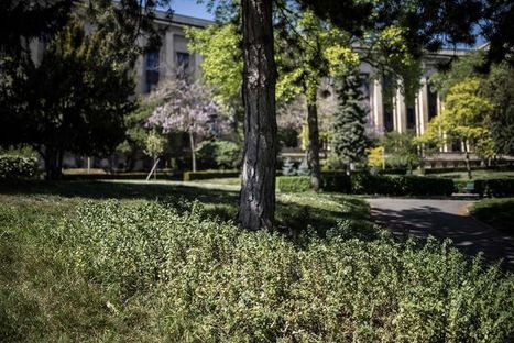 La nature d&eacute;confin&eacute;e : leurre sur la ville | Nature en ville | Scoop.it