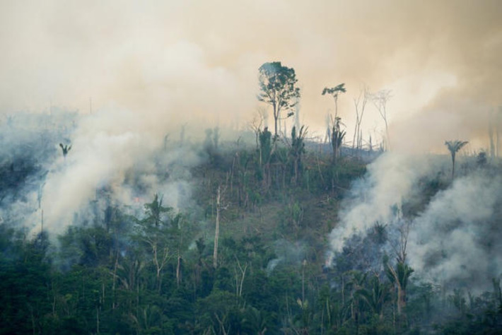 The world may never go back to how it was after this monster El Ni&ntilde;o | The Health Report | Scoop.it
