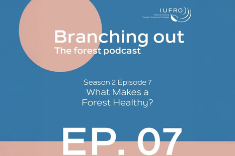What makes a FOREST healthy? | CIHEAM Press Review | Scoop.it