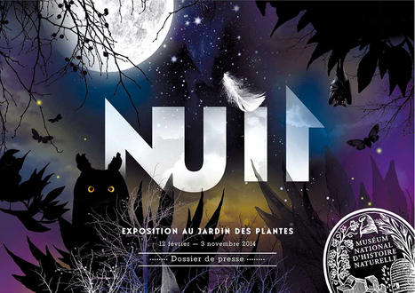 La nuit exposée au Muséum national d’Histoire naturelle | Variétés entomologiques | Scoop.it