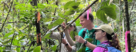 Amazon Research Initiative for Educators | Rainforest CLASSROOM | Scoop.it