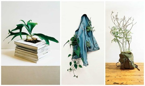 Alternative Planter | 1001 Recycling Ideas ! | Scoop.it