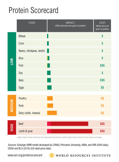 Sustainable Diets: What You Need to Know in 12 Charts | World Resources Institute | Sustainability Science | Scoop.it