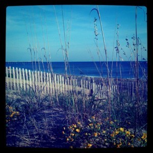 Outer Banks Beach, Surf, & Fishing Report: 10.27.11 &ndash; Perfect OBX fall day! | Surfing Magazine | Scoop.it