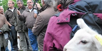 Face aux attaques du prédateur, l’Aude muscle le plan Loup | Biodiversité | Scoop.it