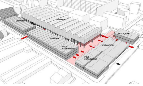 Université de Nantes - Le futur "Pôle Universitaire Interdisciplinaire dédié aux Cultures Numériques" | Université et numérique | Scoop.it