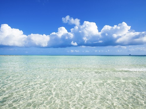 Cloud Security and Compliance&mdash;People, Process, and Technology | opexxx | Scoop.it