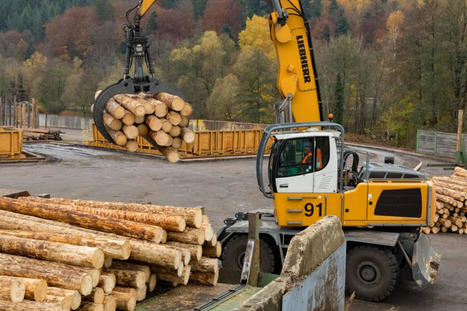 Un outil pour rendre visibles les formations de la filière bois | Prospective emploi compétence | Scoop.it