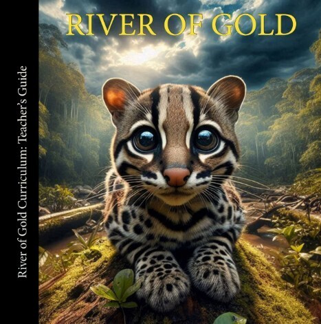 New Teaching Resource from Amazon Aid | RAINFOREST EXPLORER | Scoop.it
