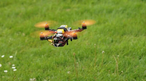 S'&eacute;quiper d'un drone pour localiser et surveiller son troupeau | Elevage et num&eacute;rique | Scoop.it