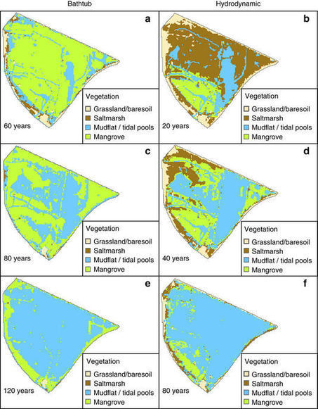 Potential increase in coastal wetland vulnerability to sea-level rise suggested by considering hydrodynamic attenuation effects | Biodiversité | Scoop.it