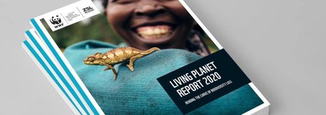 Rapport Planète Vivante - WWF | Biodiversité | Scoop.it