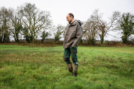 En Bretagne, la lente disparition des prairies permanentes | Elevage et environnement | Scoop.it
