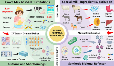 Special Milk and Synthetic Biology: A Dual-Perspective Review of Ingredient Substitutions in Breast-Milk-Simulated Infant Formula | RMH | Scoop.it