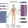 Immunology
