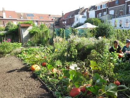 Développement durable - Roubaix veut produire 730 tonnes de fruits et légumes par an | revue de johane | Scoop.it