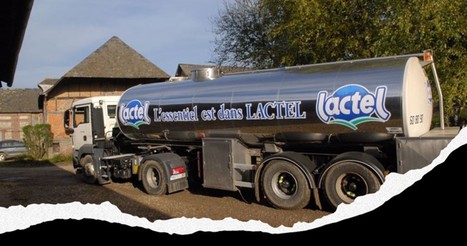 Lactalis tacle à demi-mot Sodiaal | Lait de Normandie... et d'ailleurs | Scoop.it